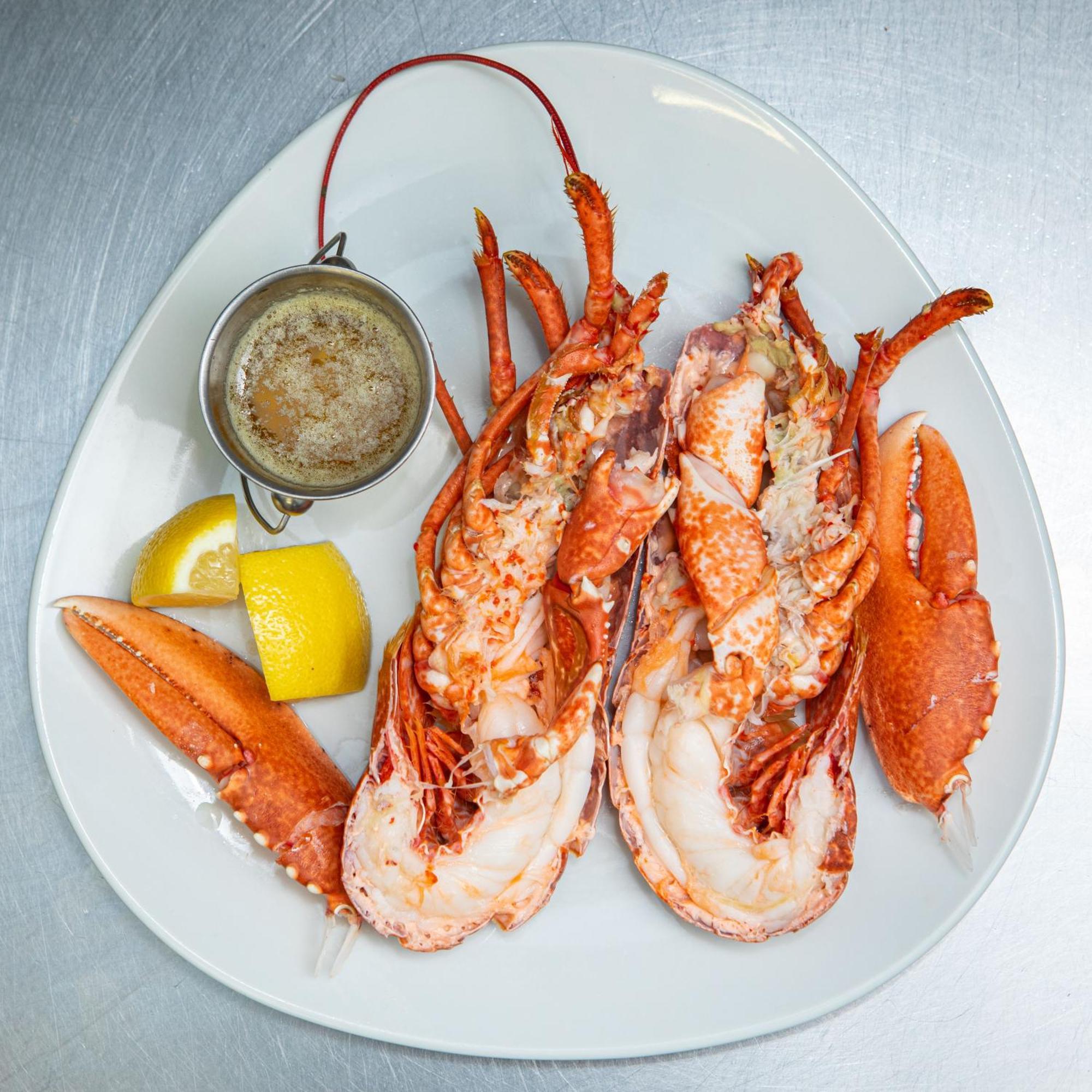 Ashes Seafood Restaurant Accommodation Dingle Extérieur photo