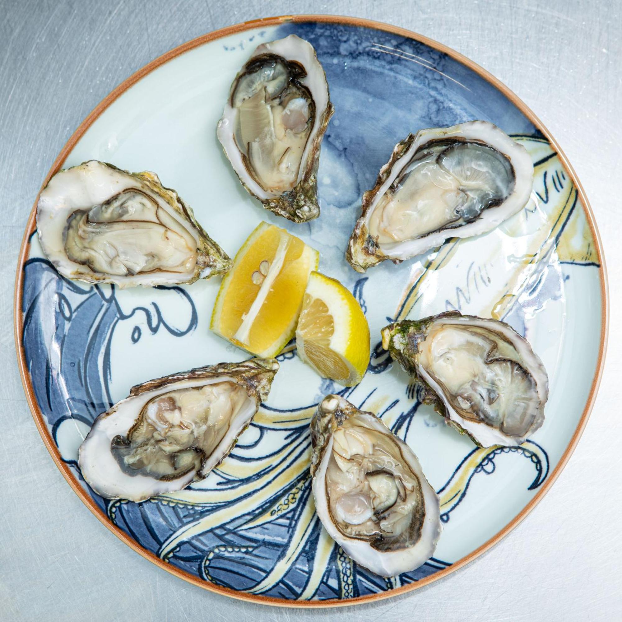 Ashes Seafood Restaurant Accommodation Dingle Extérieur photo