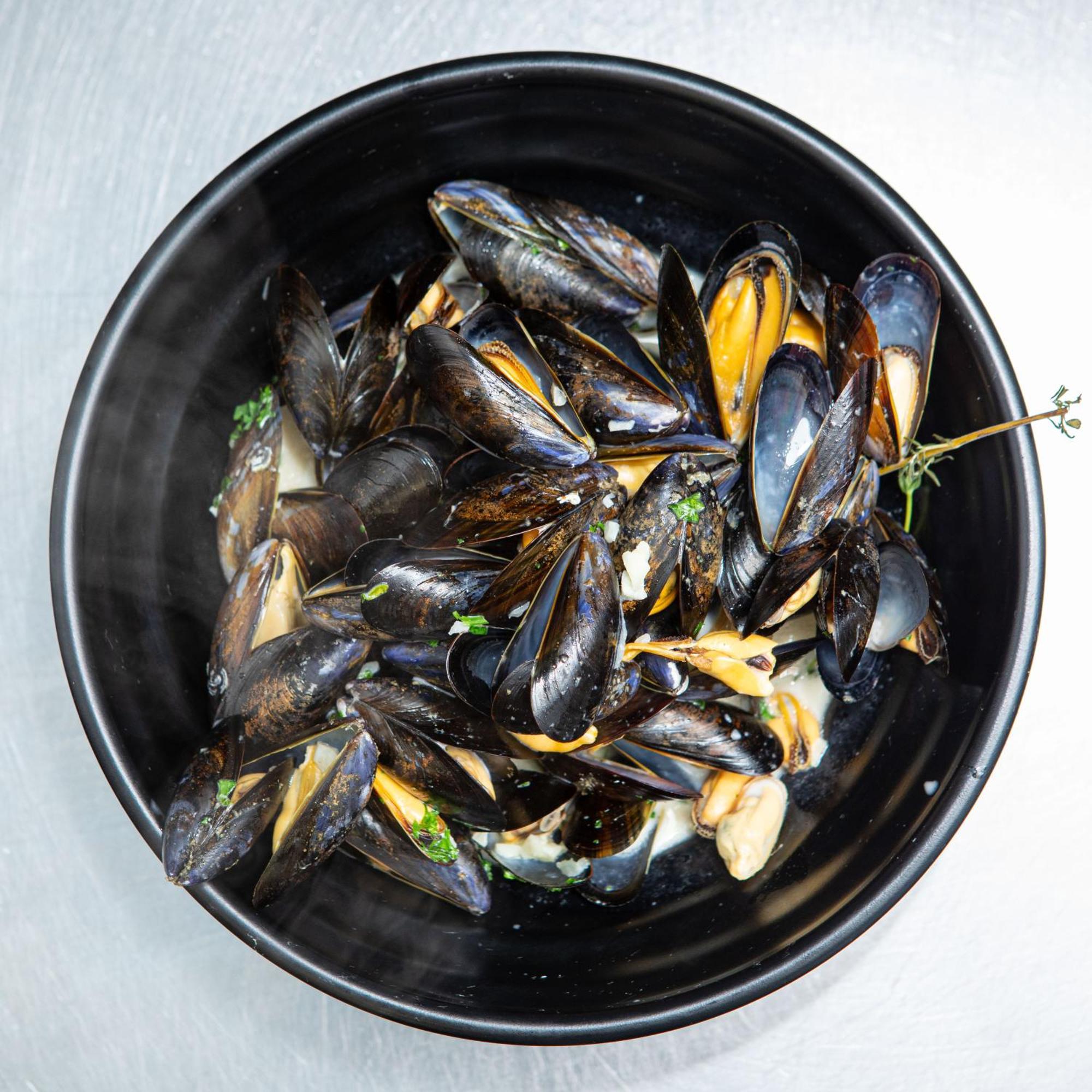 Ashes Seafood Restaurant Accommodation Dingle Extérieur photo